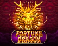 Fortune Dragon PP