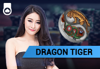 Dragon Tiger Hogaming